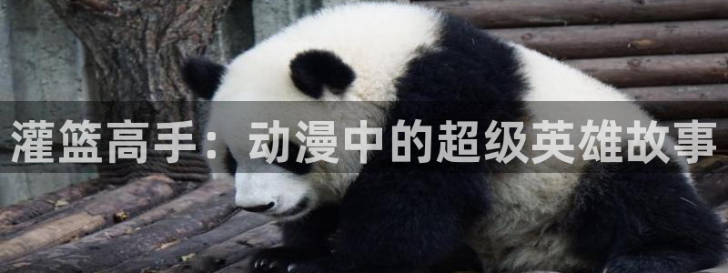 韩漫动漫在哪里能看免费：灌篮高手：动漫中的超级英雄故事