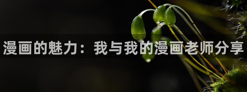 韩漫漫画在线观看的图片：漫画的魅力：我与我的漫画老师分享